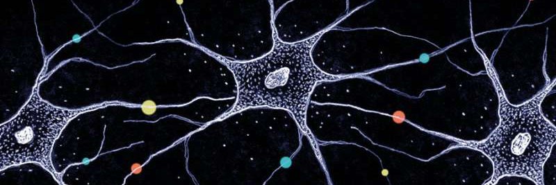 Michelle Leppert, MD banner