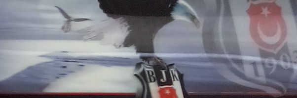 mahmut_albas's profile banner image