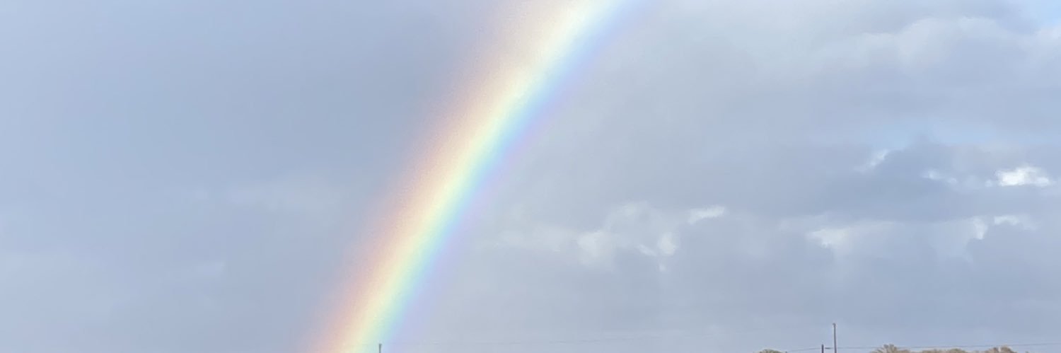 gianluka__'s profile banner image