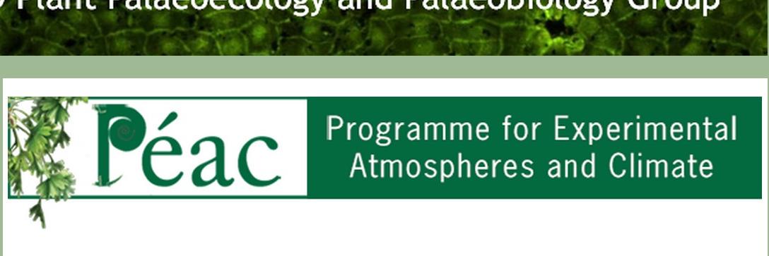PEAC_UCD's profile banner image