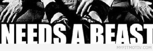 natashahardwick's profile banner image