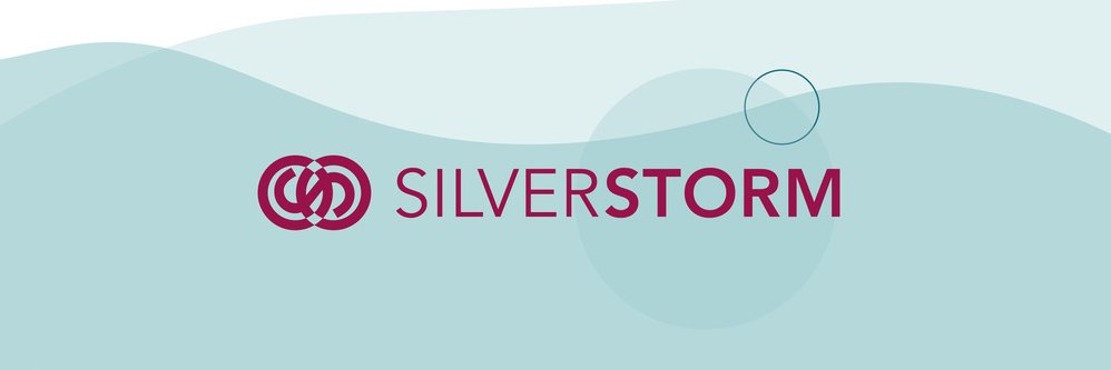 silverstormuk's profile banner image