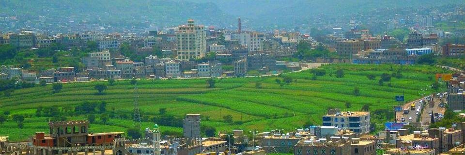 Talalshabibi's profile banner image