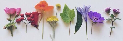 . banner