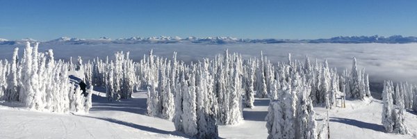 TonkinChristina Profile Banner