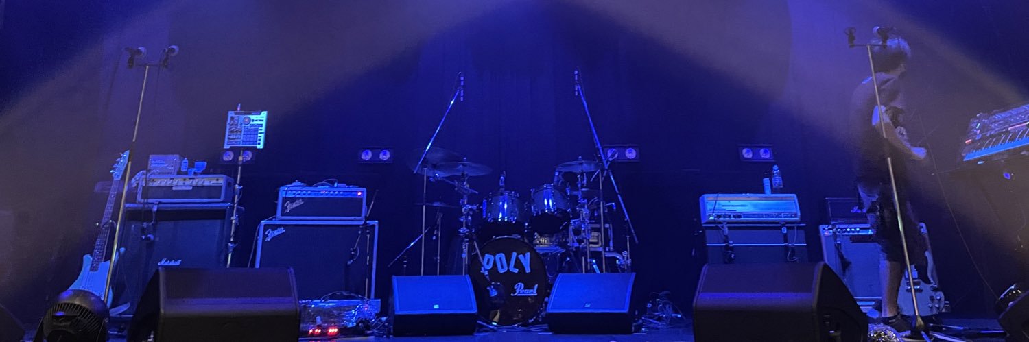polysickeita's profile banner image