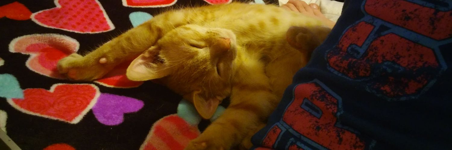 _kitty_cat_love's profile banner image