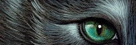 YessadBekir's profile banner image