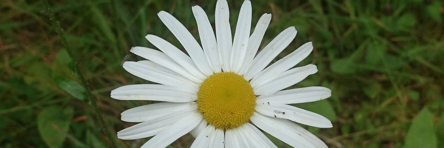 TashaCheerCo's profile banner image