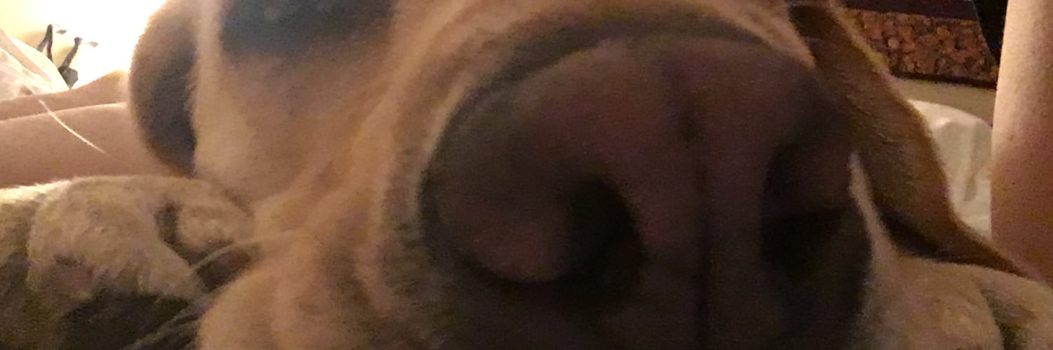 c_hansss's profile banner image