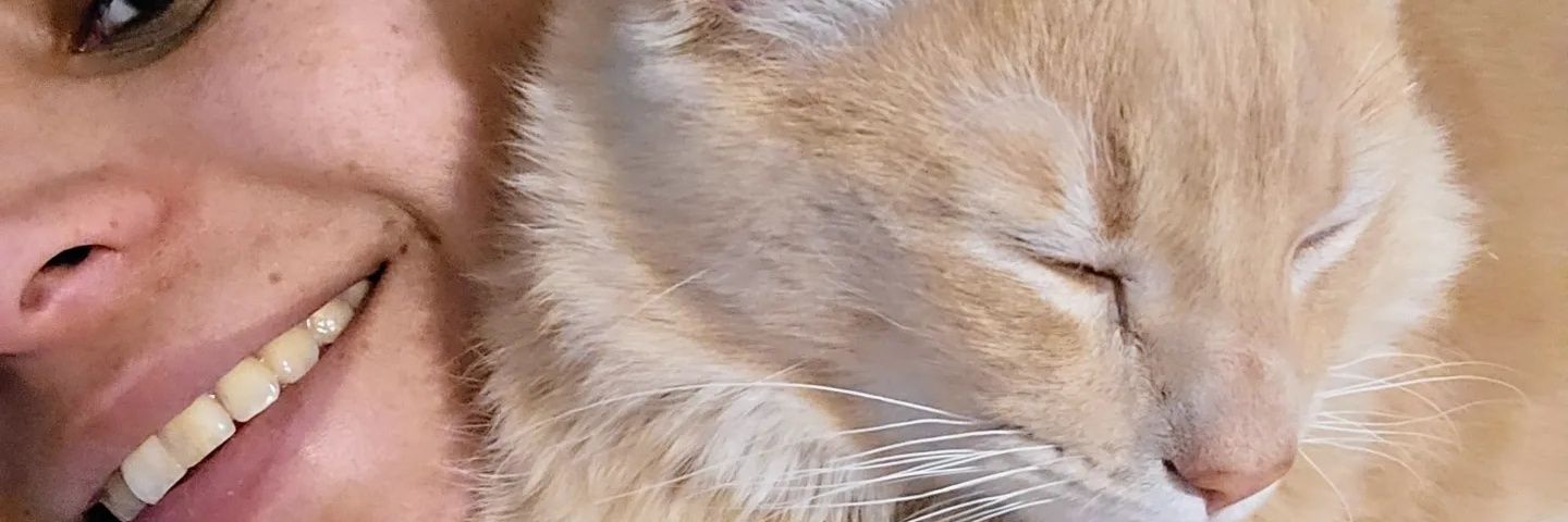 sonotaniaz's profile banner image