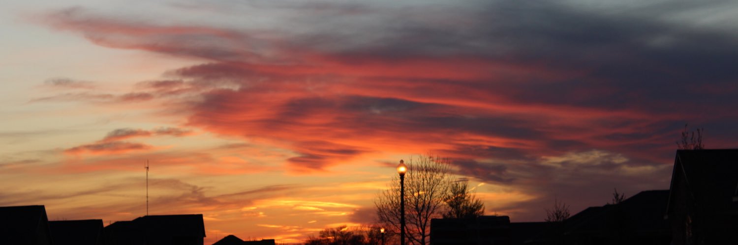 _curlysss's profile banner image
