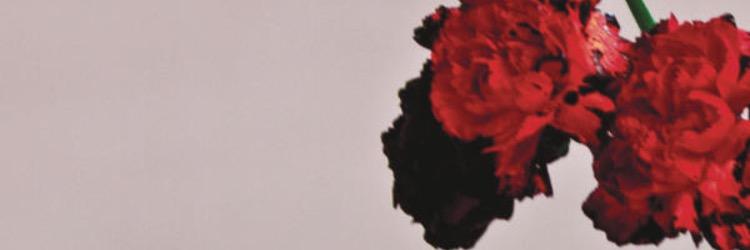 potential131's profile banner image