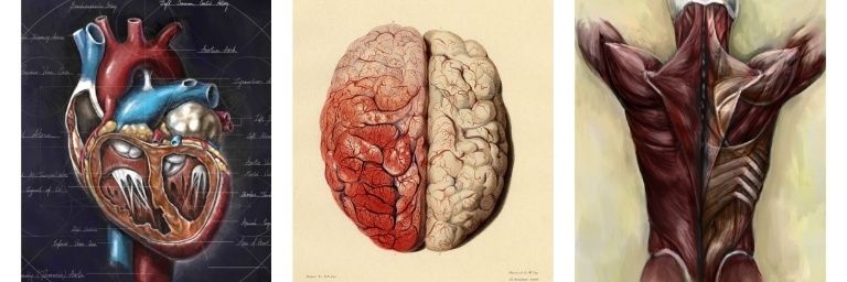Perlas_Medicas's profile banner image