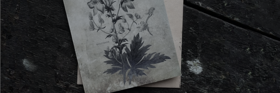 BelmontDerek's profile banner image