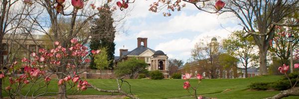 NeuroVixen Profile Banner