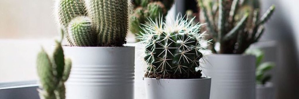 Jamie_Renee_'s profile banner image