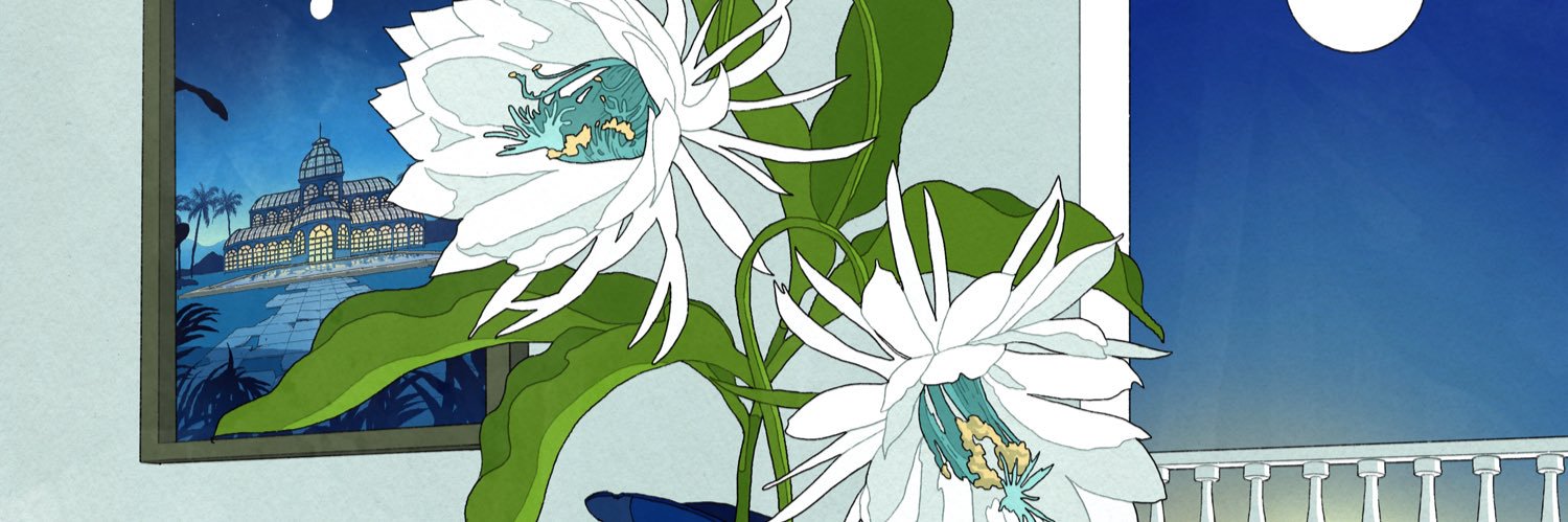 PicturedResort's profile banner image