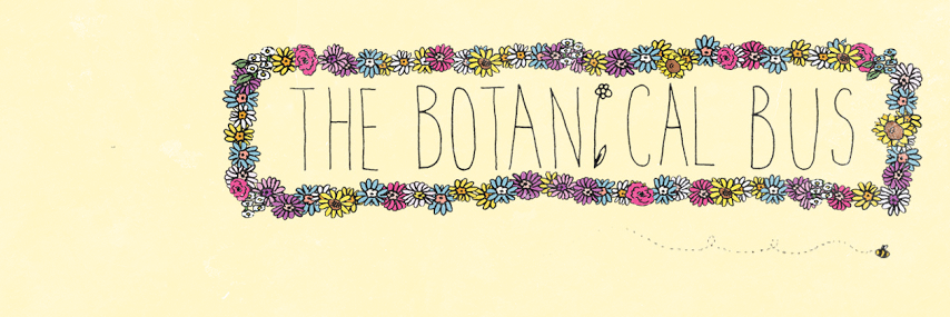 thebotanicalbus's profile banner image