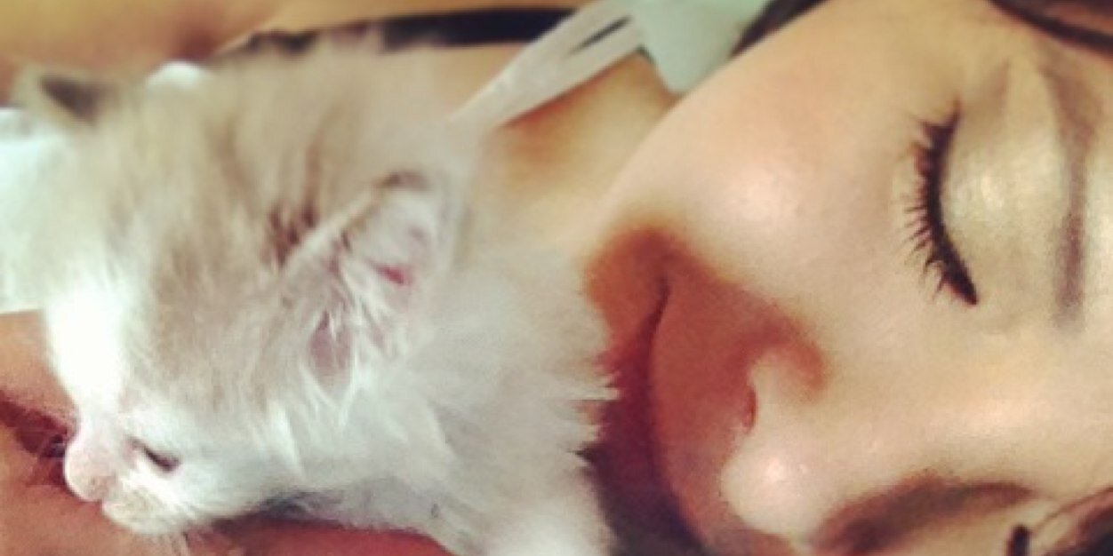 katherineMora5's profile banner image