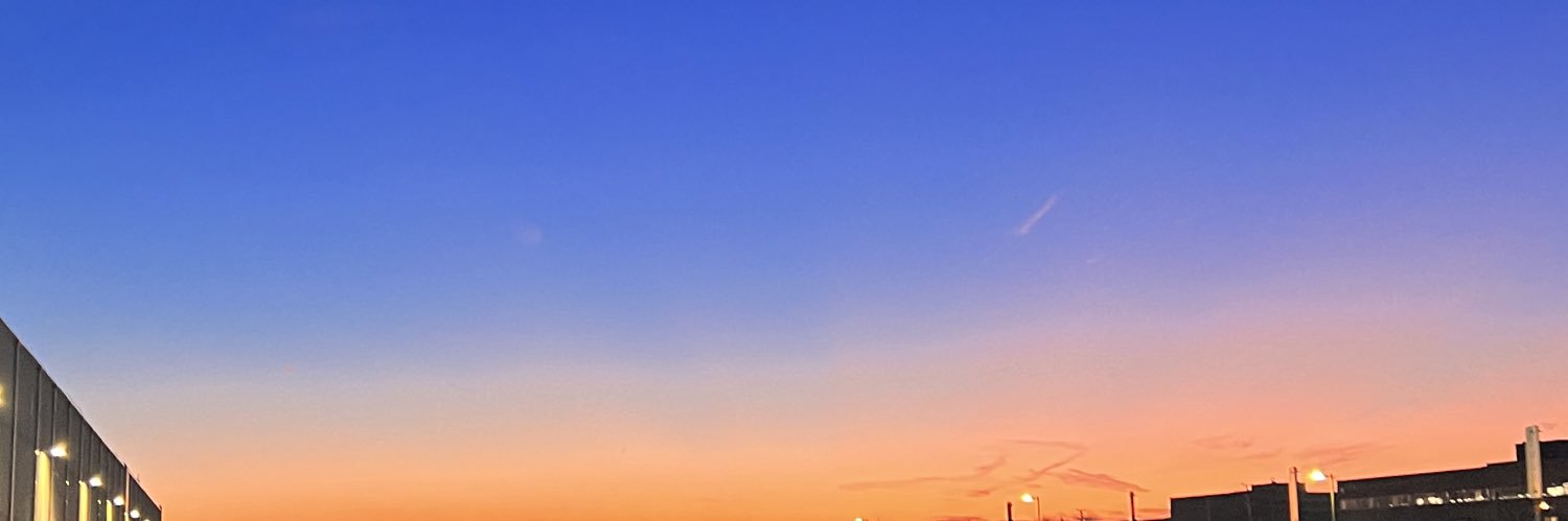 raysalexandra's profile banner image