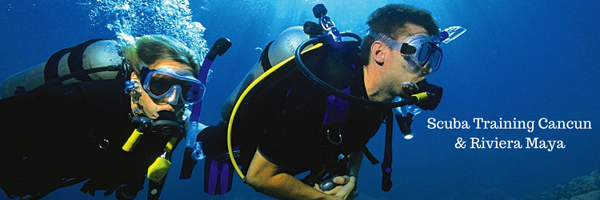 ScubaOctopus Profile Banner