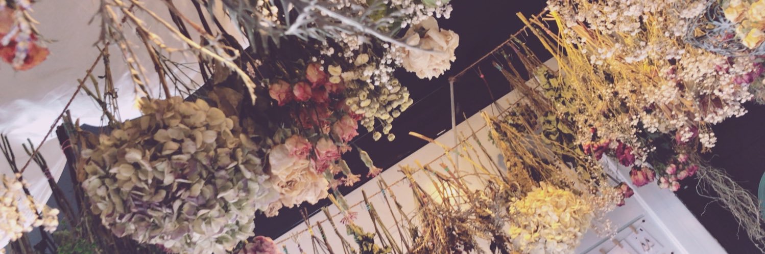 mio___k22's profile banner image