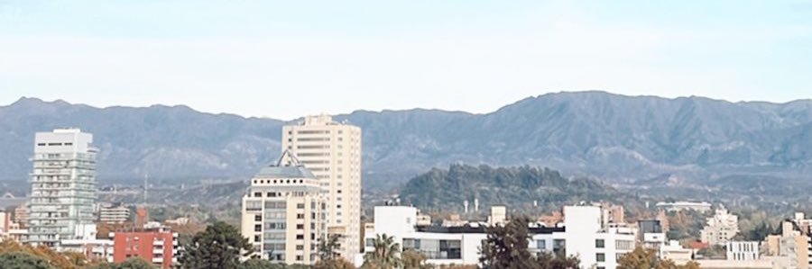 Luli Gabrielli banner