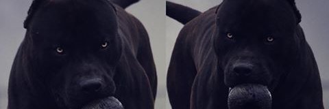 XO_Overdose's profile banner image