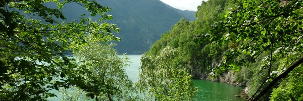 DdePonthaud Profile Banner