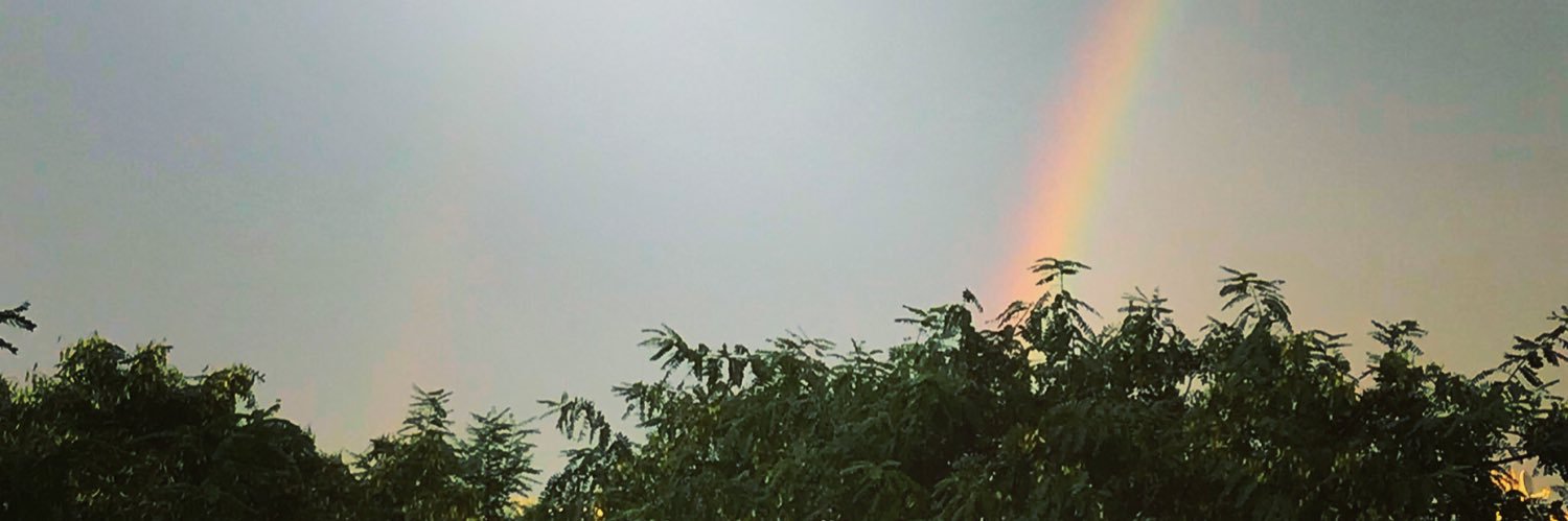 LauraGC4's profile banner image