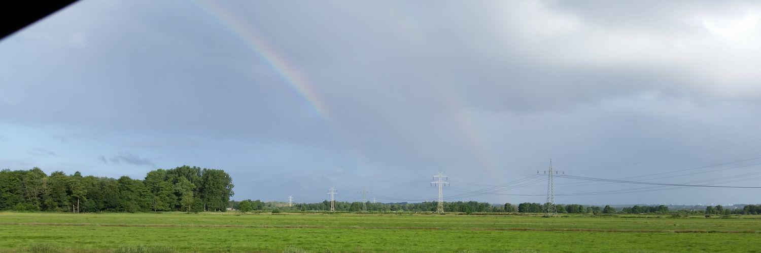 AHelvogt's profile banner image