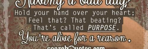 Daphna Fertil banner