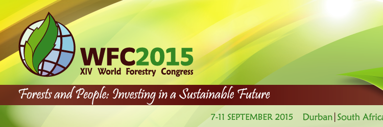 14th_WFC2015's profile banner image