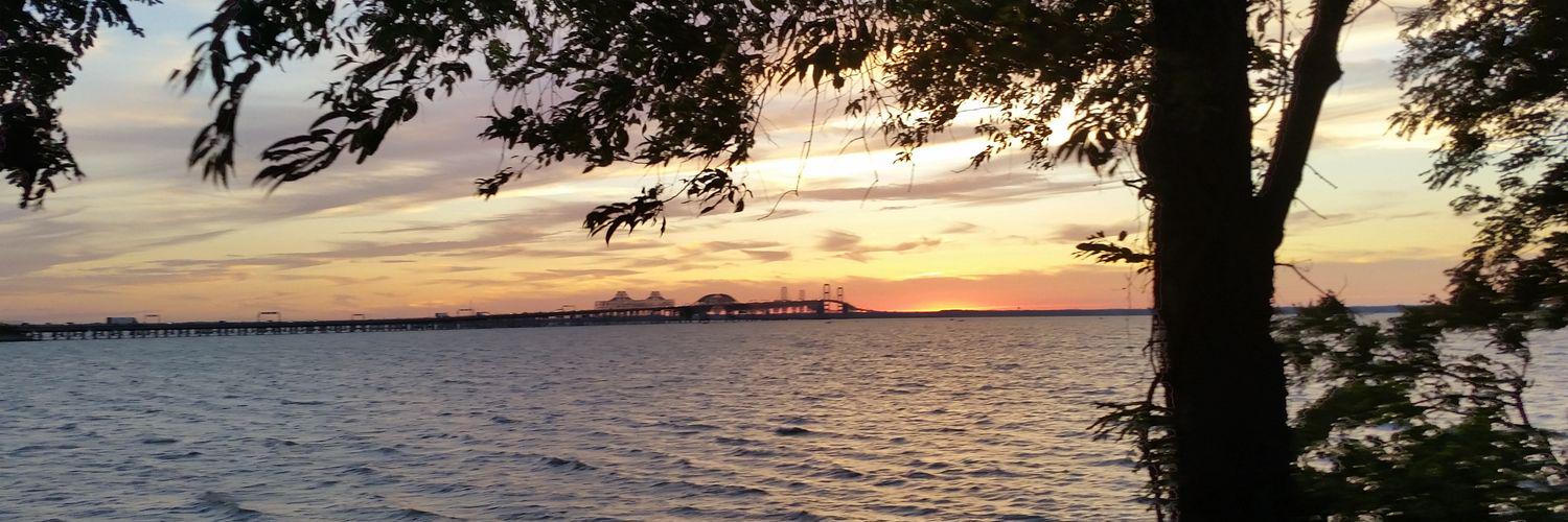 Bill Alexander banner