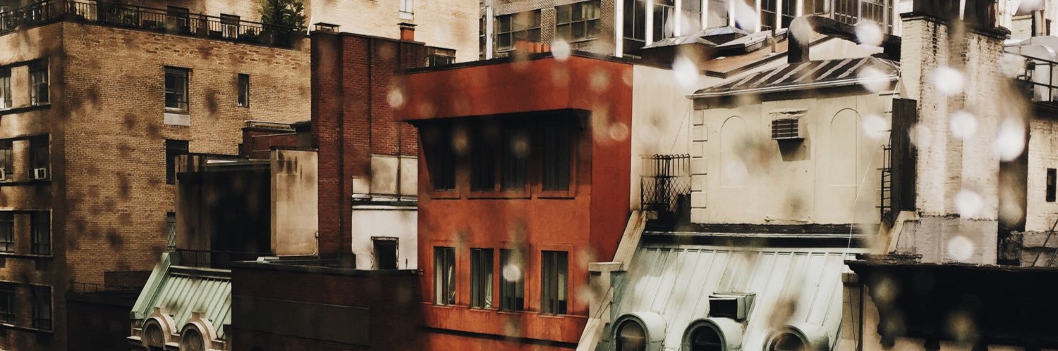 niftychinchilla's profile banner image