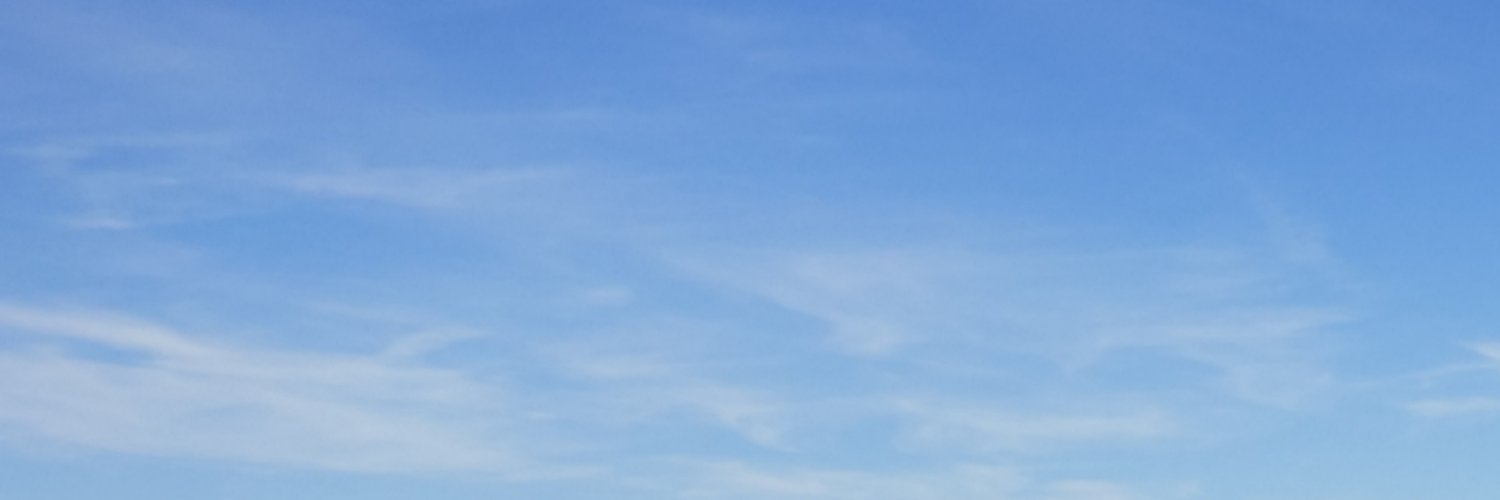 wild_donal's profile banner image