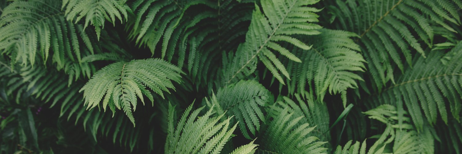 AmyLWarman's profile banner image
