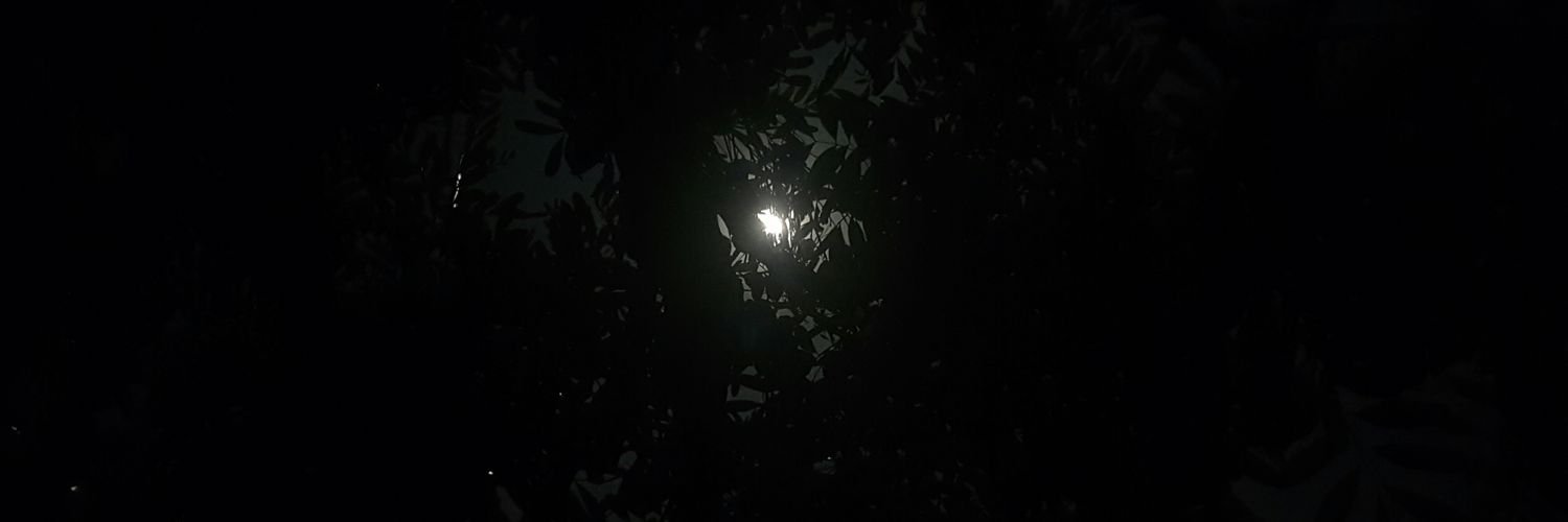 YoSoyWinter's profile banner image