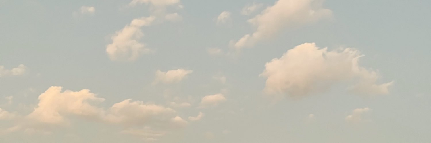 __mc451__'s profile banner image