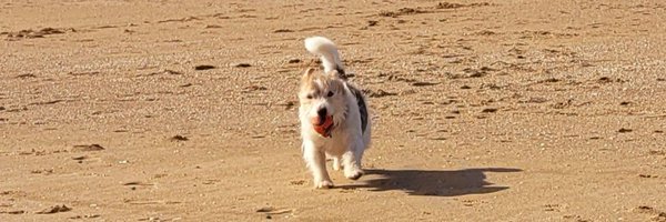 SarahGWork Profile Banner