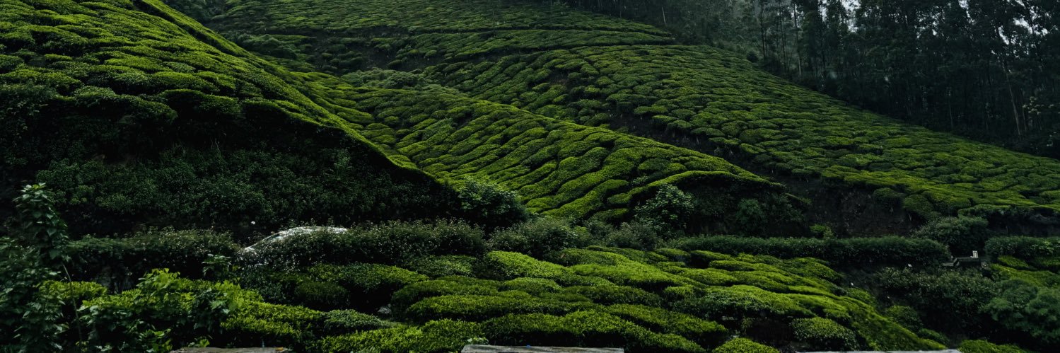 itsprakashdodda's profile banner image