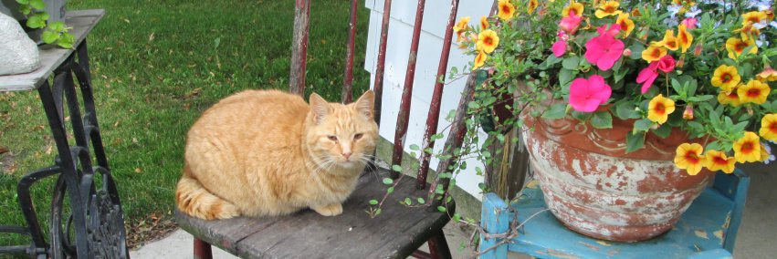tater2011's profile banner image
