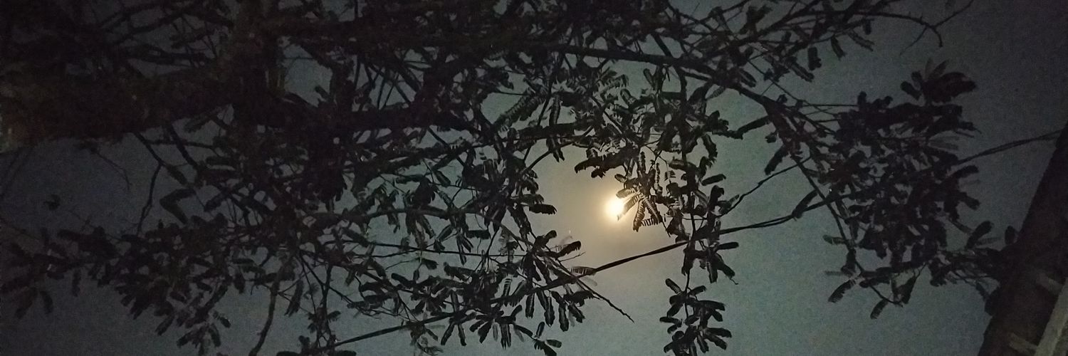 den_senen's profile banner image