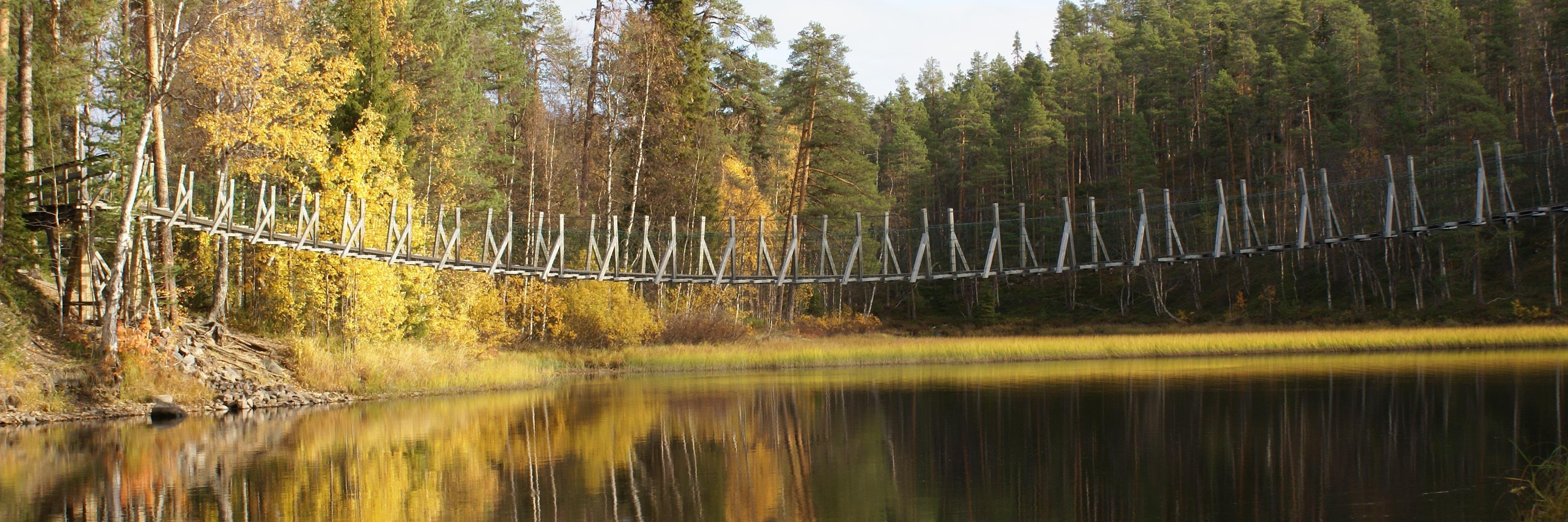 Saku Huttunen banner