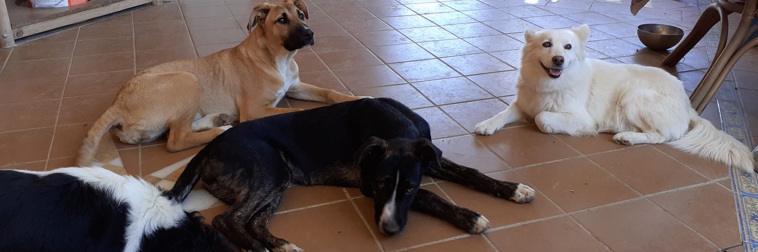 Marisa Bravo 🇪🇸🇪🇸🇪🇸🇪🇸🇪🇸 banner