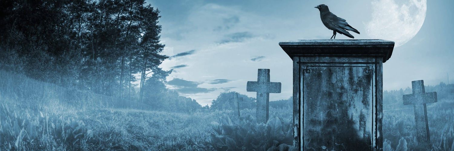 ShawnWin989's profile banner image