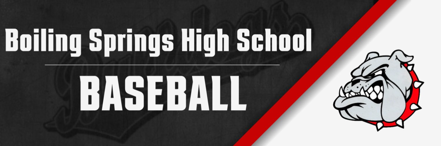 BSHS Baseball banner