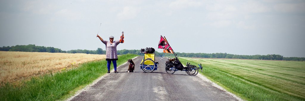 FiJaPAW's profile banner image