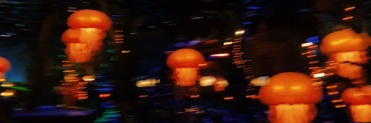 Miyuu2828's profile banner image